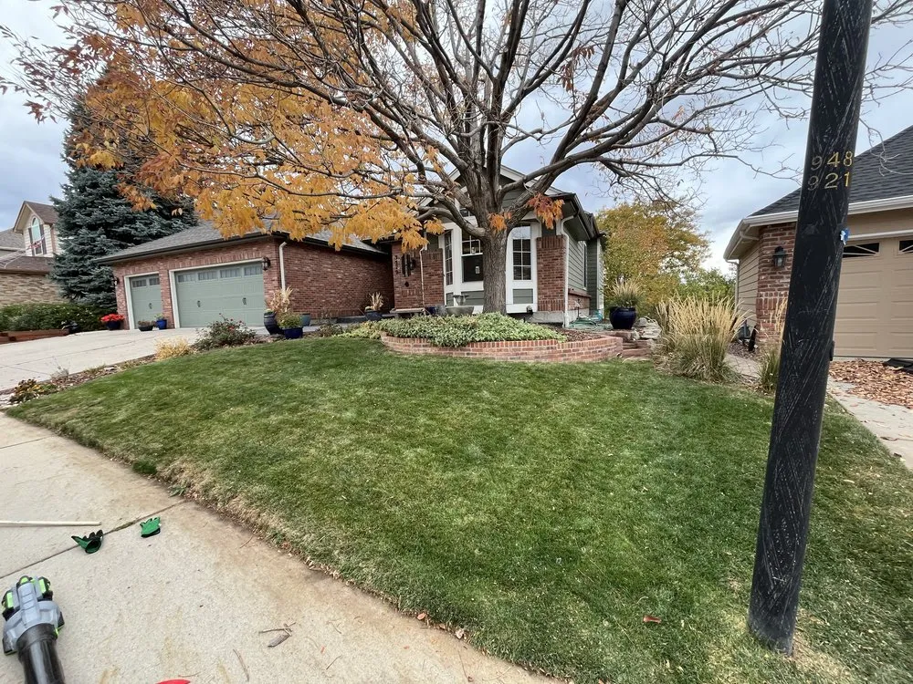 Reliable yard cleanup service with custom design in Englewood, CO by All Weather Landscaping