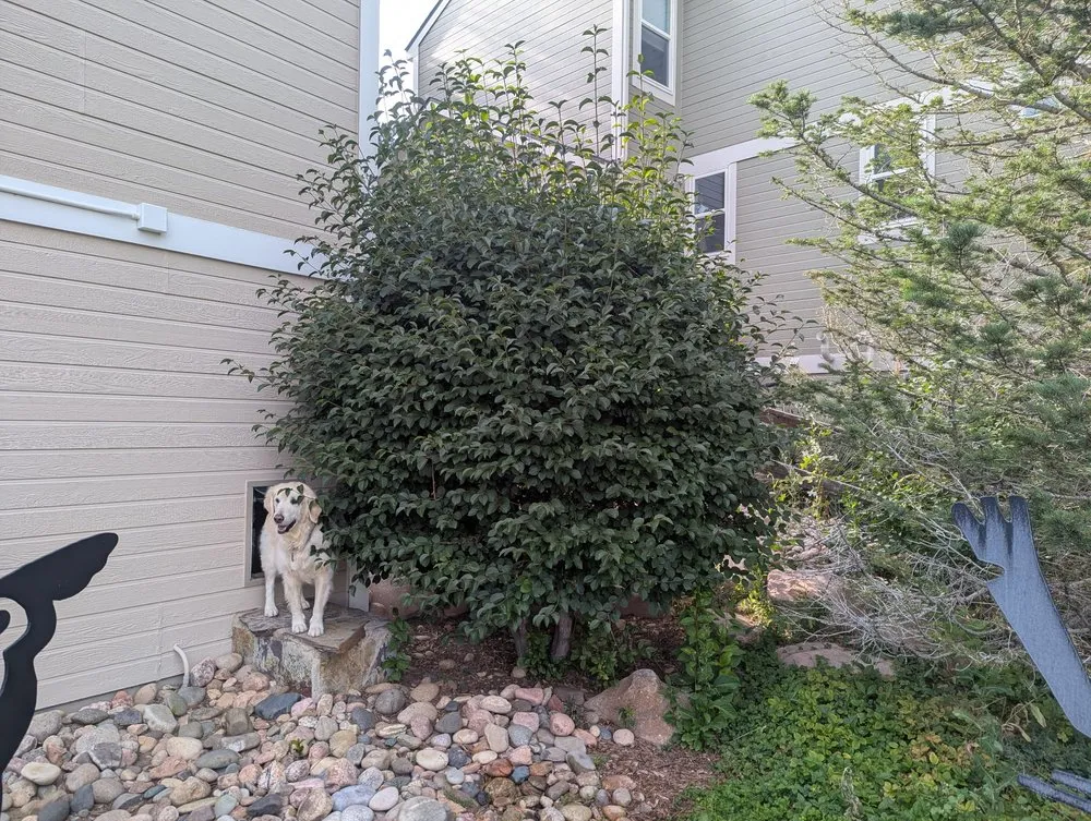 Top-rated yard maintenance with custom design across Englewood, CO - All Weather Landscaping