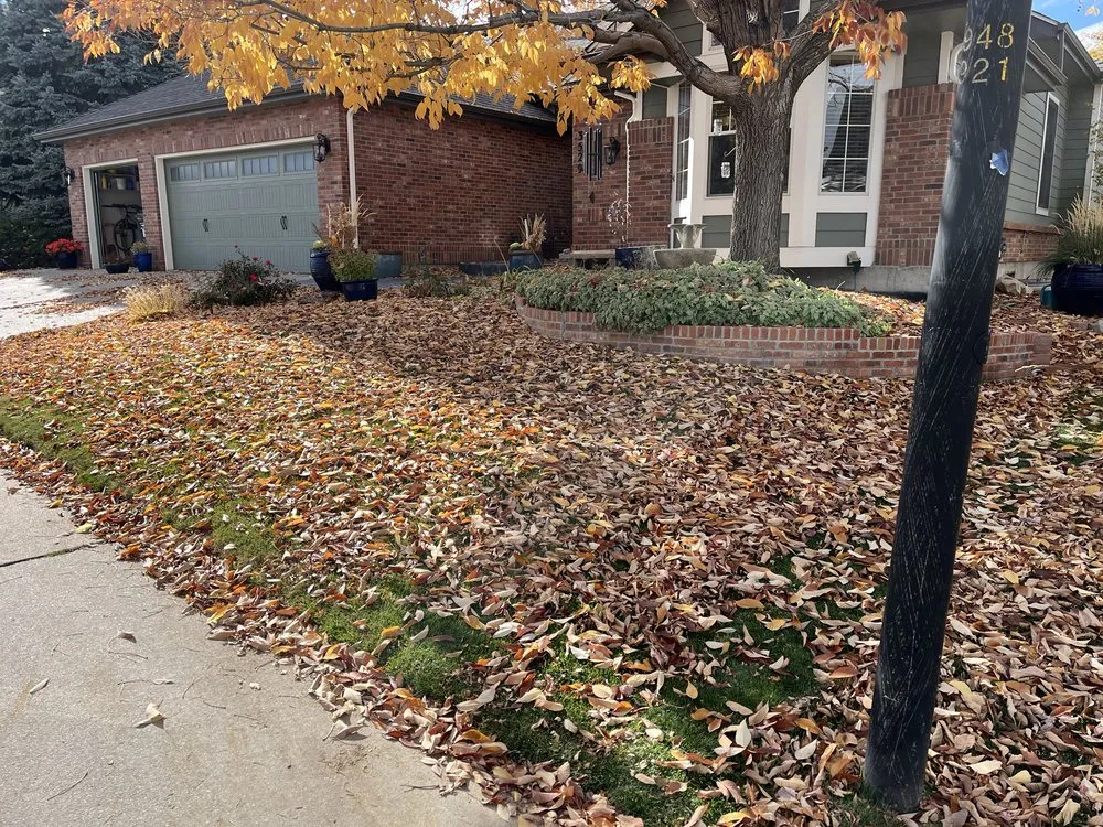 Reliable yard cleanup service for homes across Englewood, CO - All Weather Landscaping