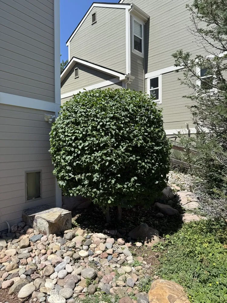 Top-rated lawn mowing service experts serving Englewood, CO - All Weather Landscaping