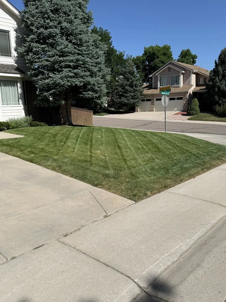 Affordable landscaping services for year-round maintenance in Englewood, CO by All Weather Landscaping