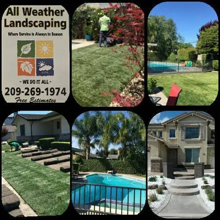Trusted yard cleanup service experts serving Lodi, CA - All Weather Landscaping