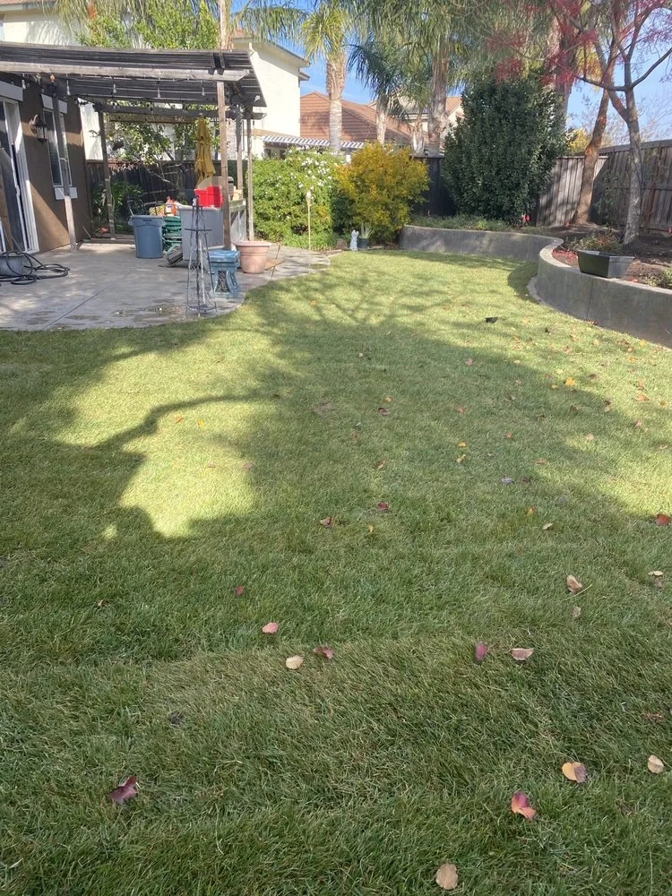 Local lawn mowing service in Lodi, CA - All Weather Landscaping
