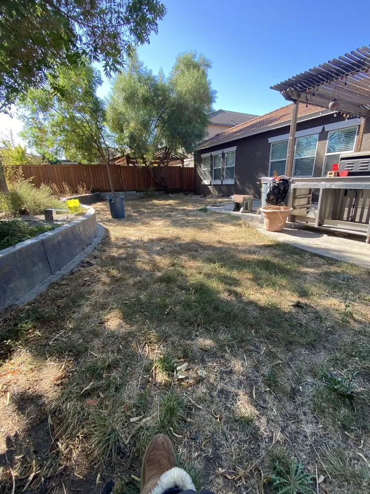 Affordable landscape design in Lodi, CA by All Weather Landscaping