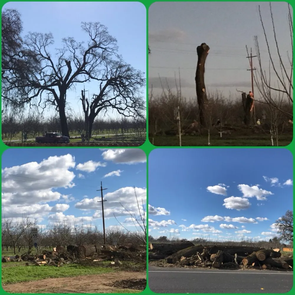 Top-rated residential landscaping for residential properties across Lodi, CA - All Weather Landscaping