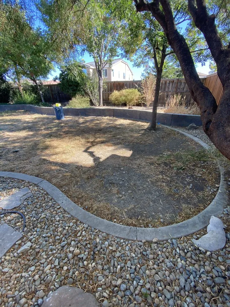 Custom lawn care service for homes in Lodi, CA by All Weather Landscaping