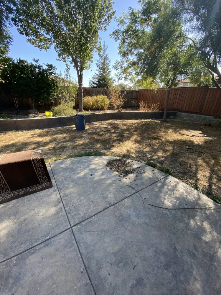 Trusted residential landscaping with custom design in Lodi, CA by All Weather Landscaping