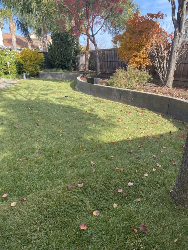 Professional lawn mowing service for homes in Lodi, CA by All Weather Landscaping