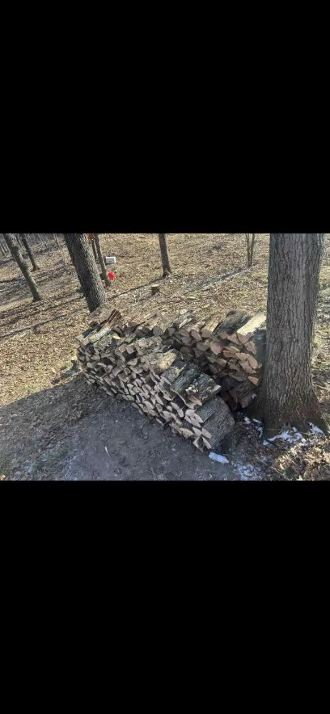 Reliable outdoor landscaping experts serving Smithton, MO - All Weather Lawn Services And Wood Cutting