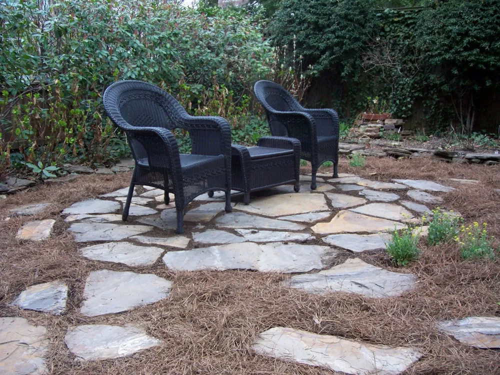 Reliable yard cleanup service in Arnold, MD by All Weather Property Services