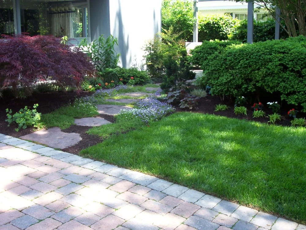 Expert yard cleanup service experts serving Arnold, MD - All Weather Property Services