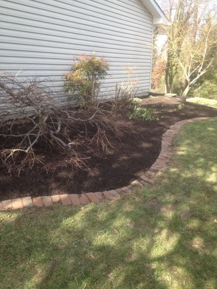 Trusted yard maintenance in Arnold, MD - All Weather Property Services