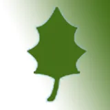 Expert outdoor landscaping in Tampa, FL by All Weather Tree and Landscaping Service