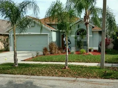 Reliable landscape installation for year-round maintenance across Tampa, FL - All Weather Tree and Landscaping Service