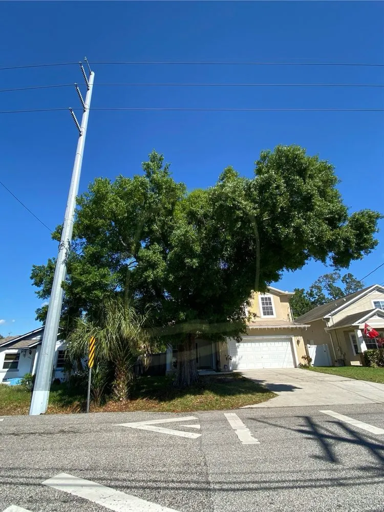 Reliable landscape design in Tampa, FL by All Weather Tree and Landscaping Service