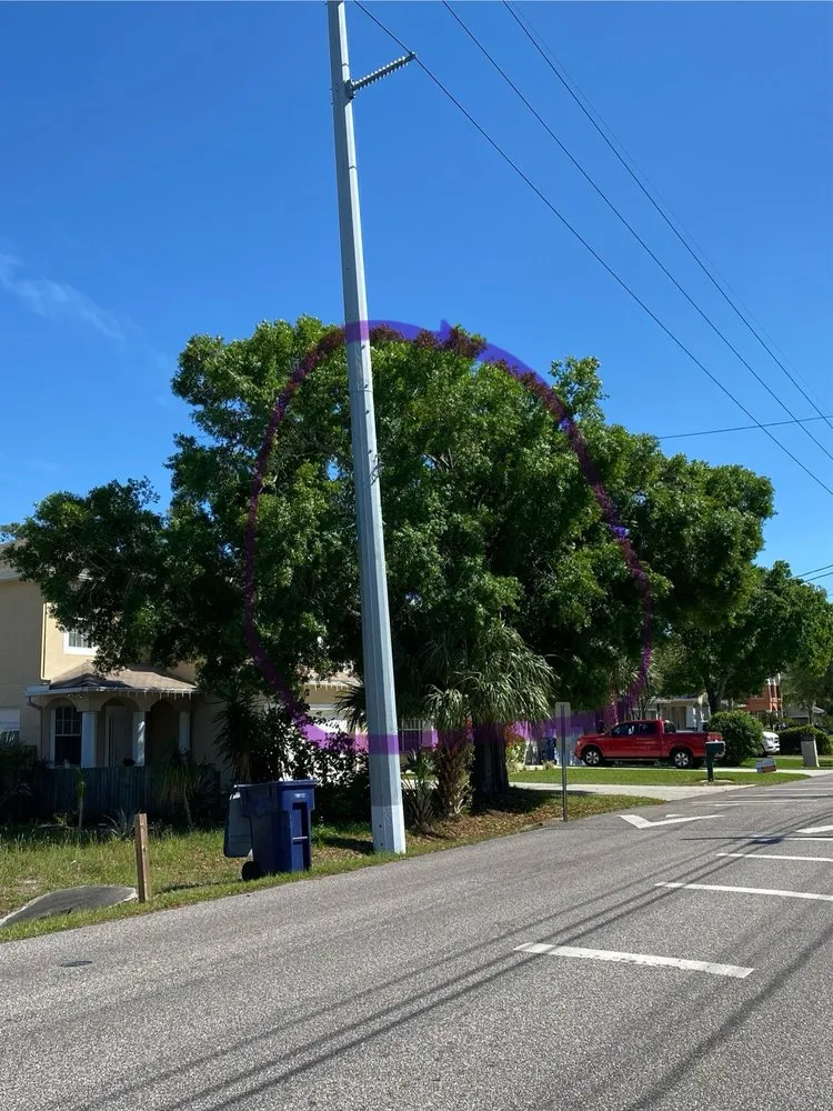 Reliable landscape installation in Tampa, FL by All Weather Tree and Landscaping Service