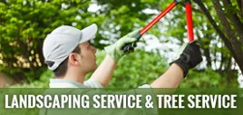 Professional lawn mowing service in Tampa, FL by All Weather Tree and Landscaping Service