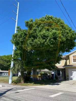 All Weather Tree and Landscaping Service Logo