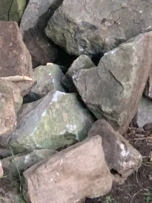 All Weather Tuneup Logo