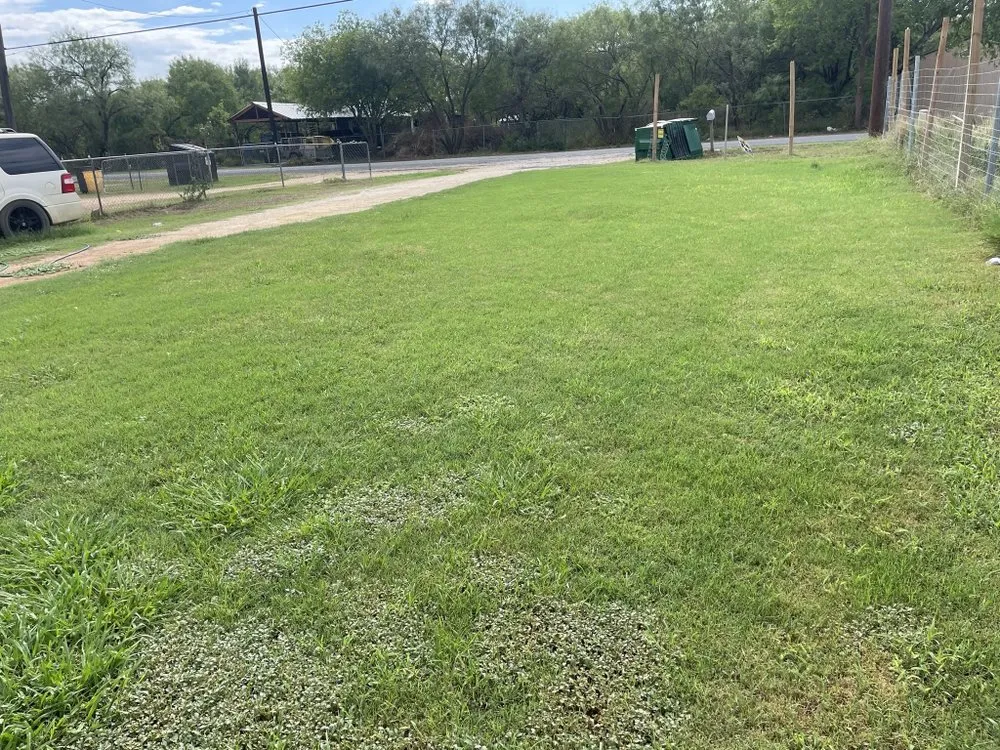 Local landscape installation near you across Adkins, TX - All Well Landscaping and Lawn Service