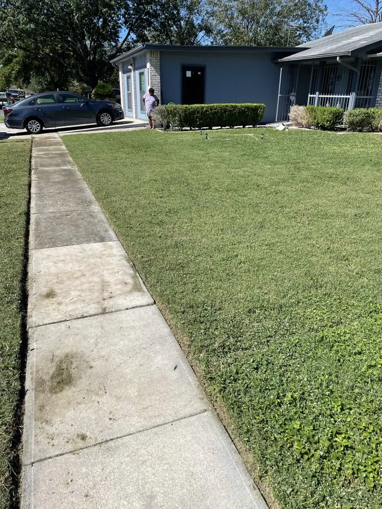 Expert residential landscaping for beautiful yards in Adkins, TX by All Well Landscaping and Lawn Service