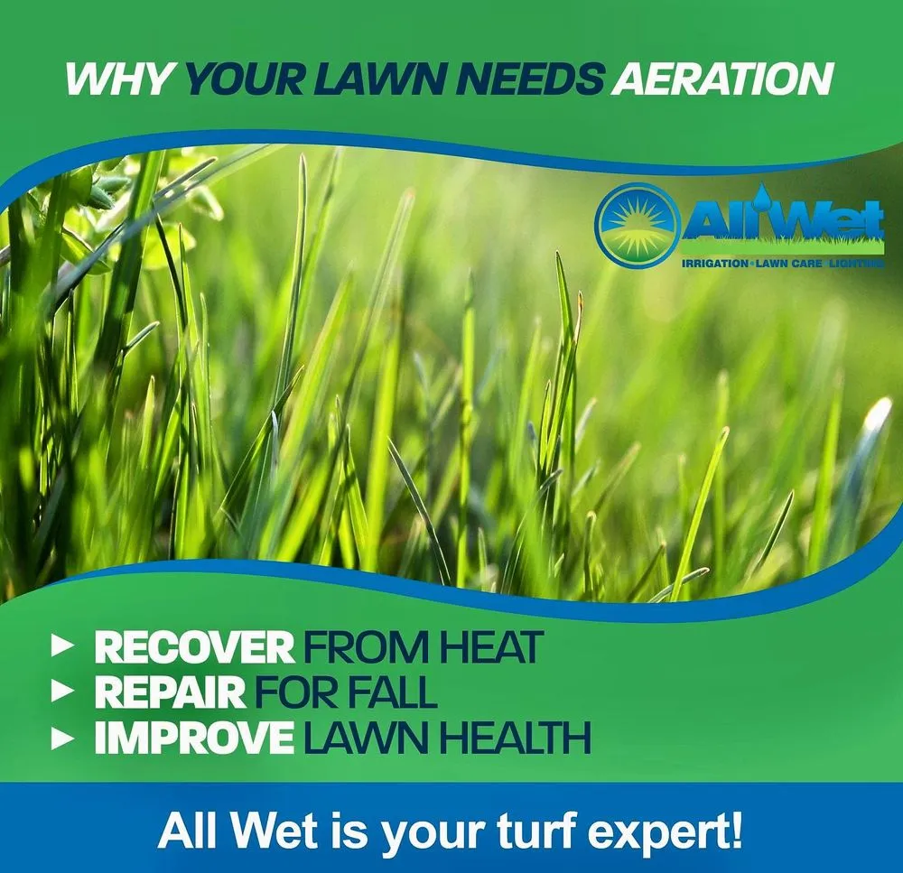 Professional yard cleanup service for beautiful yards across Dover, NJ - All Wet Irrigation & Lighting