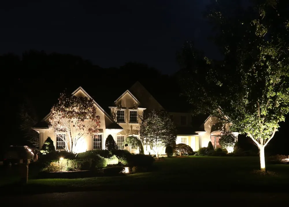 Trusted yard cleanup service in Dover, NJ by All Wet Irrigation & Lighting