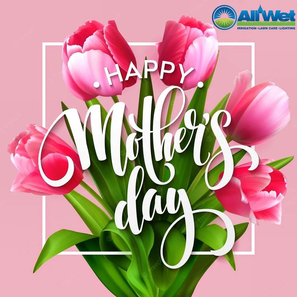 Affordable yard cleanup service experts serving Dover, NJ - All Wet Irrigation & Lighting