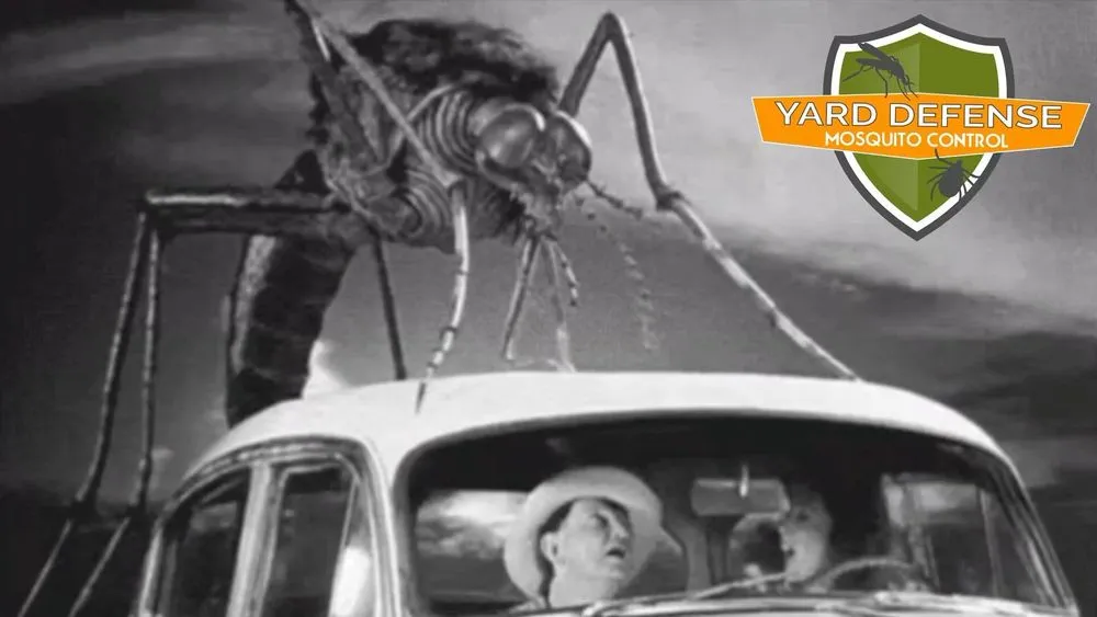 Expert lawn mowing service in Dover, NJ by All Wet Irrigation & Lighting