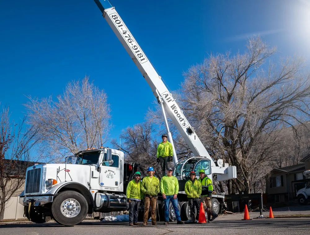 Expert yard maintenance with custom design across Ogden, UT - All Wood's Tree Service