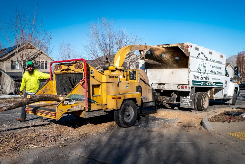Reliable residential landscaping for homes in Ogden, UT by All Wood's Tree Service