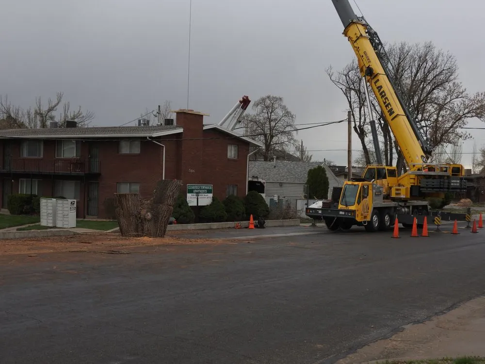 Professional lawn mowing service for beautiful yards across Ogden, UT - All Wood's Tree Service