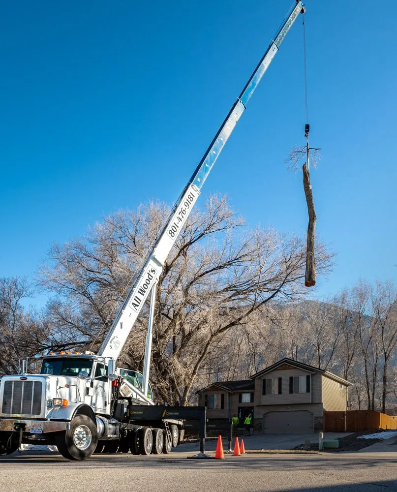 Local garden landscaping experts serving Ogden, UT - All Wood's Tree Service