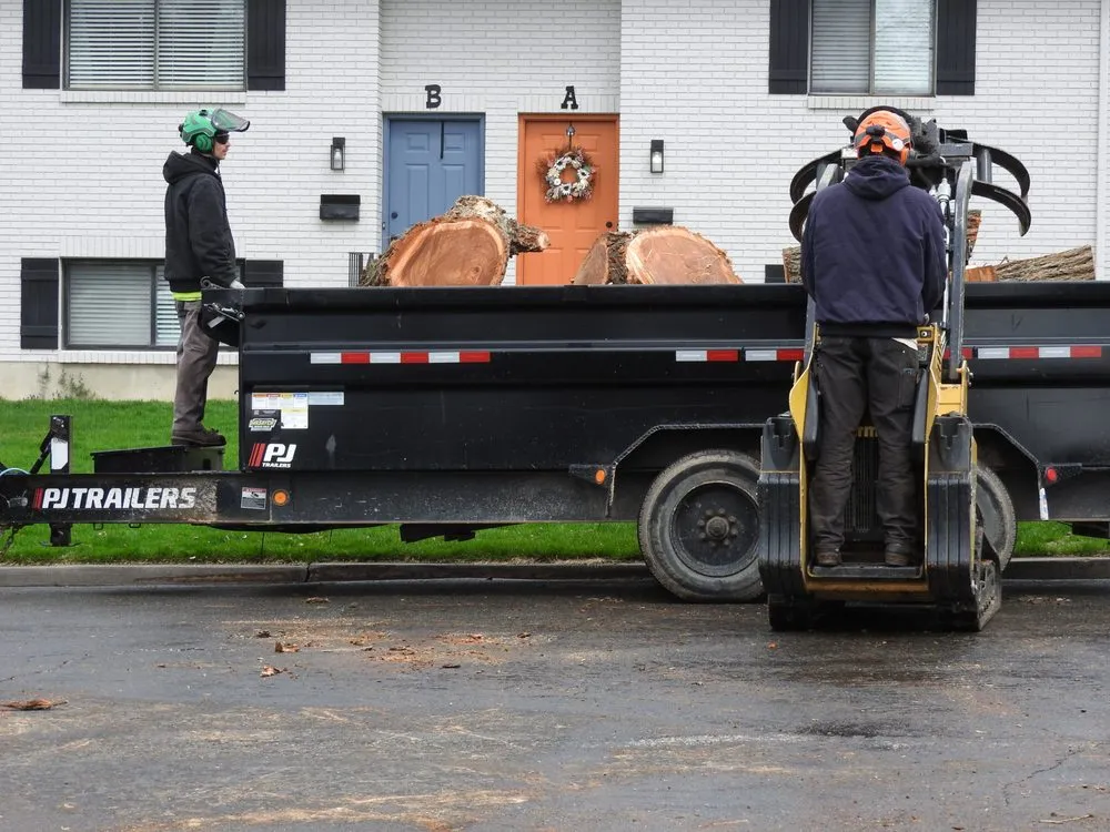 Affordable yard cleanup service for residential properties in Ogden, UT by All Wood's Tree Service