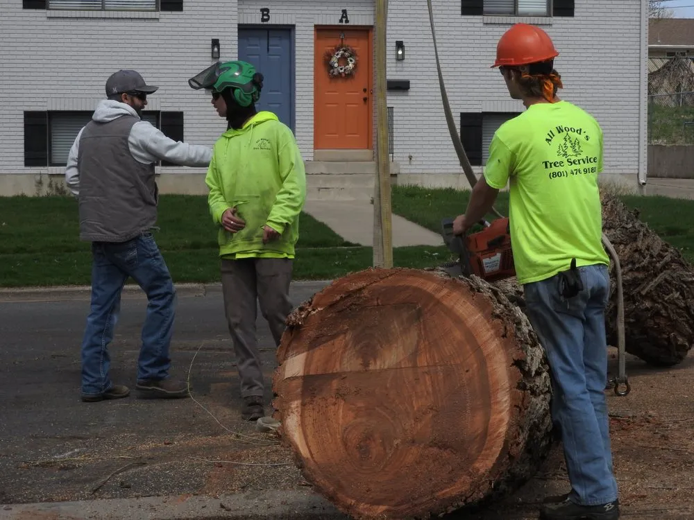 Trusted garden landscaping experts serving Ogden, UT - All Wood's Tree Service