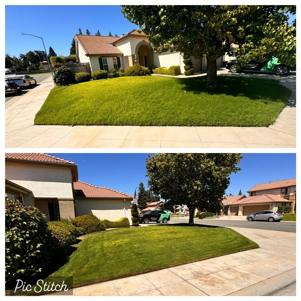 Expert yard maintenance near you across Fresno, CA - All Works