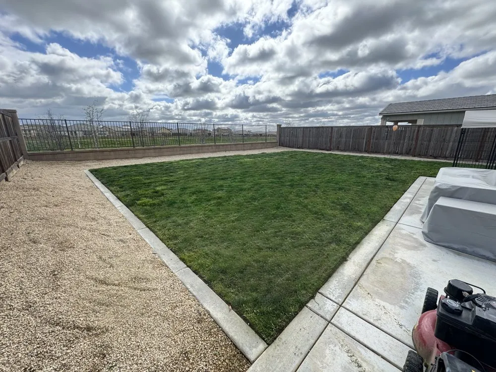 Local yard cleanup service in Fresno, CA by All Works