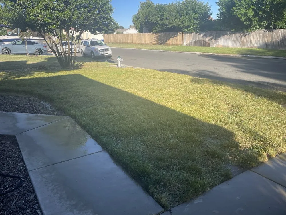 Affordable residential landscaping for year-round maintenance across Fresno, CA - All Works