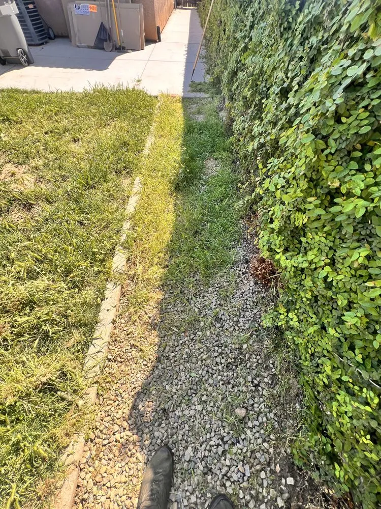 Trusted landscape installation for outdoor upgrades across Fresno, CA - All Works