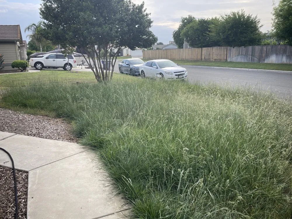 Professional outdoor landscaping in Fresno, CA by All Works