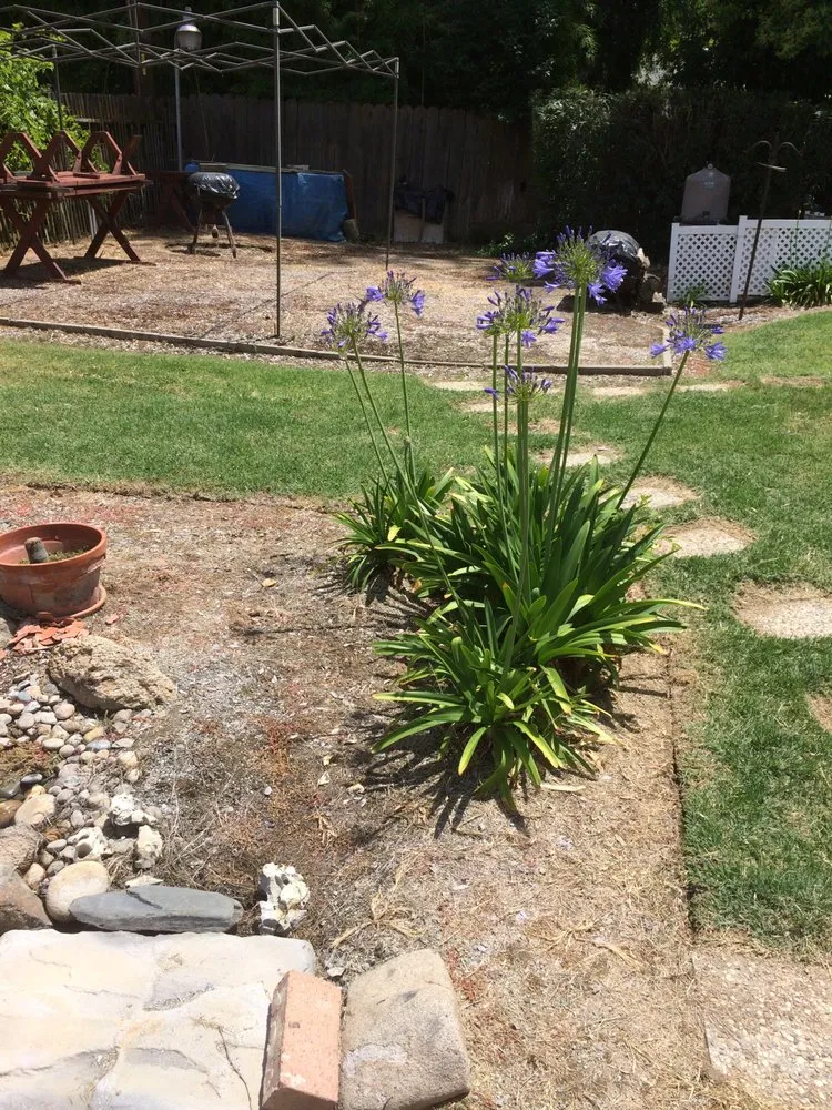 Expert outdoor landscaping experts serving Fresno, CA - All Works