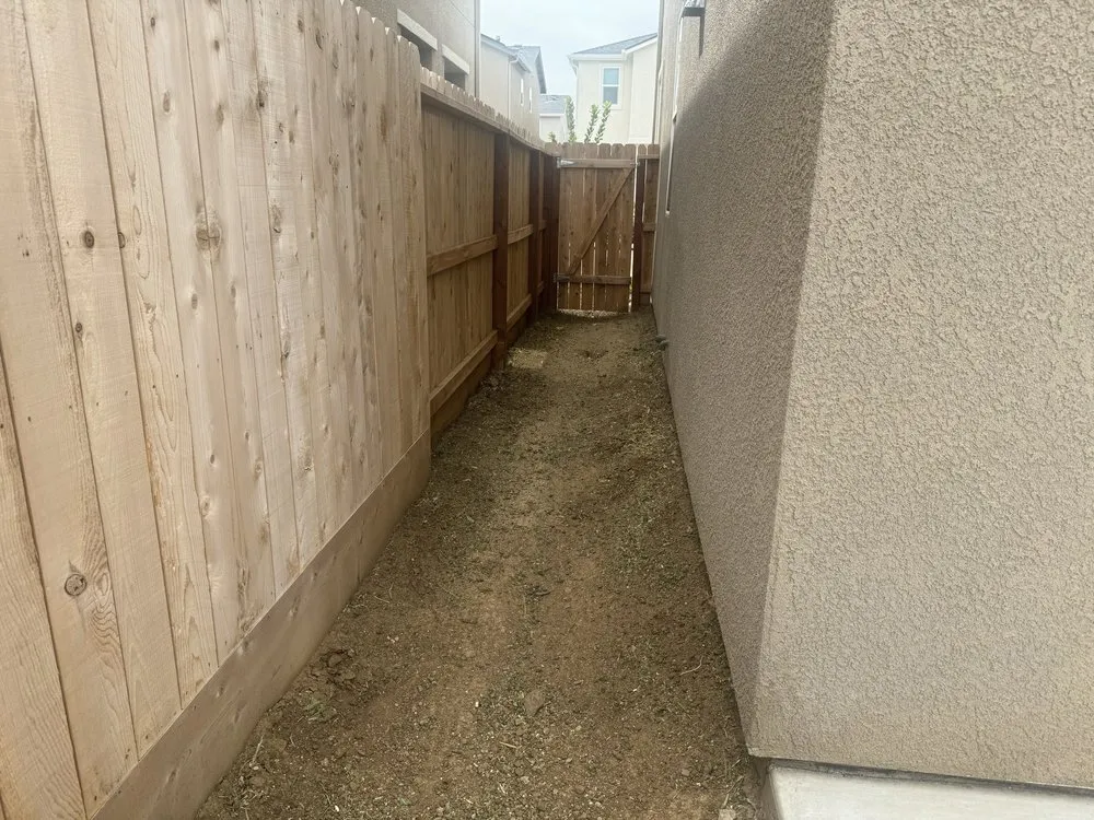 Local lawn care service for year-round maintenance in Fresno, CA by All Works