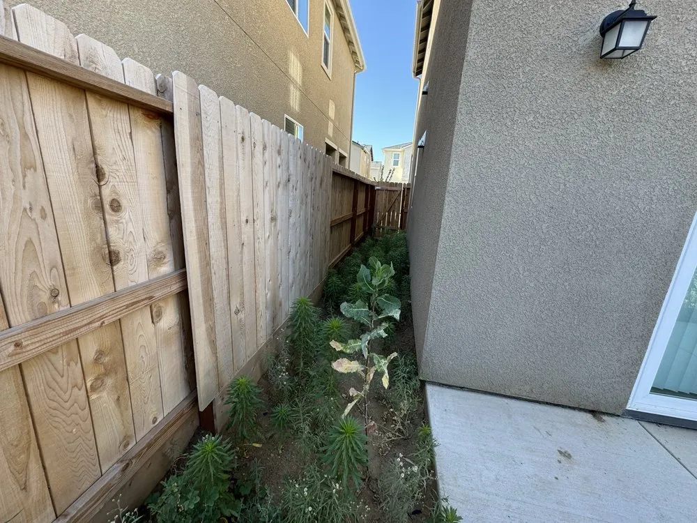 Top-rated yard cleanup service experts serving Fresno, CA - All Works