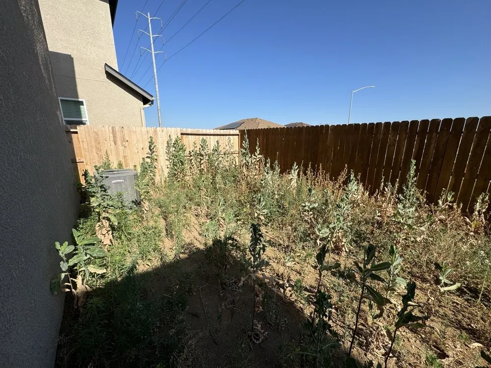 Professional yard maintenance experts serving Fresno, CA - All Works