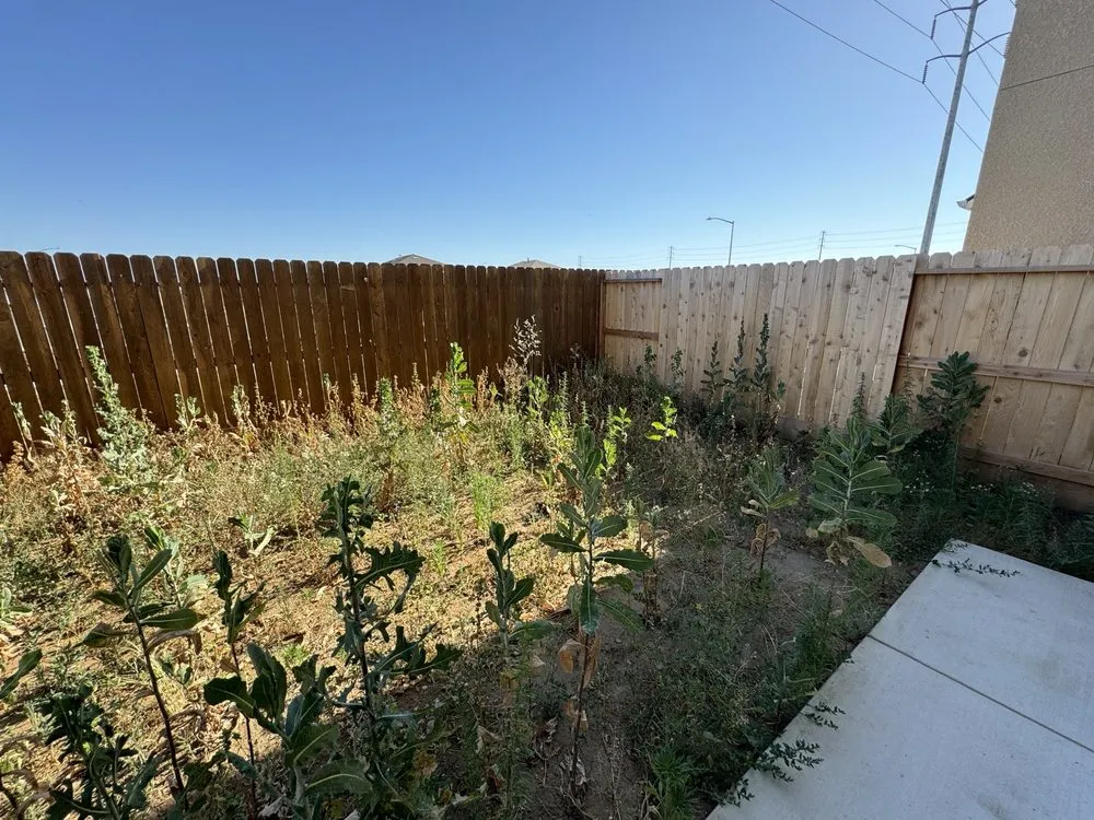 Custom landscape design for year-round maintenance in Fresno, CA by All Works