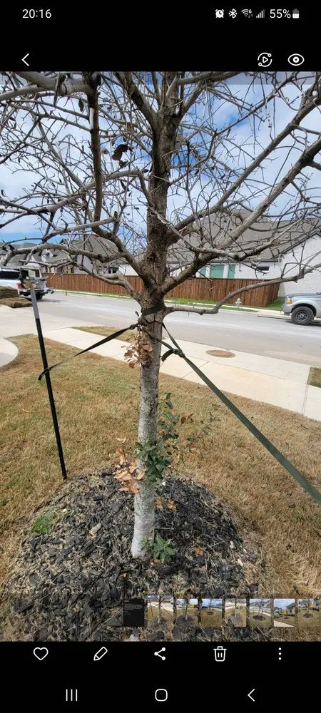 Professional landscaping services in Austin, TX - All Works Landscape