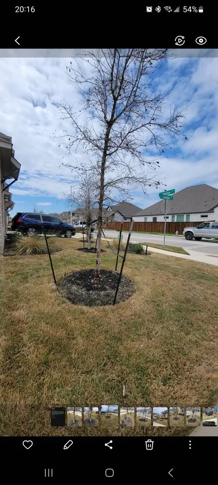 Top-rated yard cleanup service near you across Austin, TX - All Works Landscape