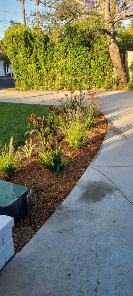 Affordable residential landscaping with custom design in Richmond, CA by All Yard Clean Up Service
