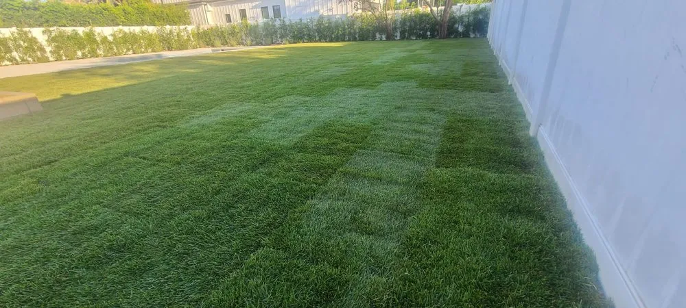 Custom residential landscaping for beautiful yards across Richmond, CA - All Yard Clean Up Service
