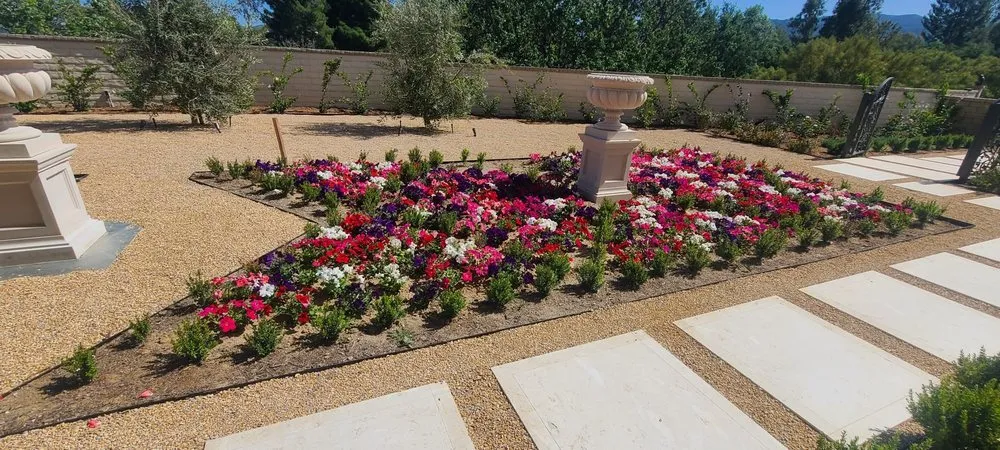 Affordable lawn care service experts serving Richmond, CA - All Yard Clean Up Service